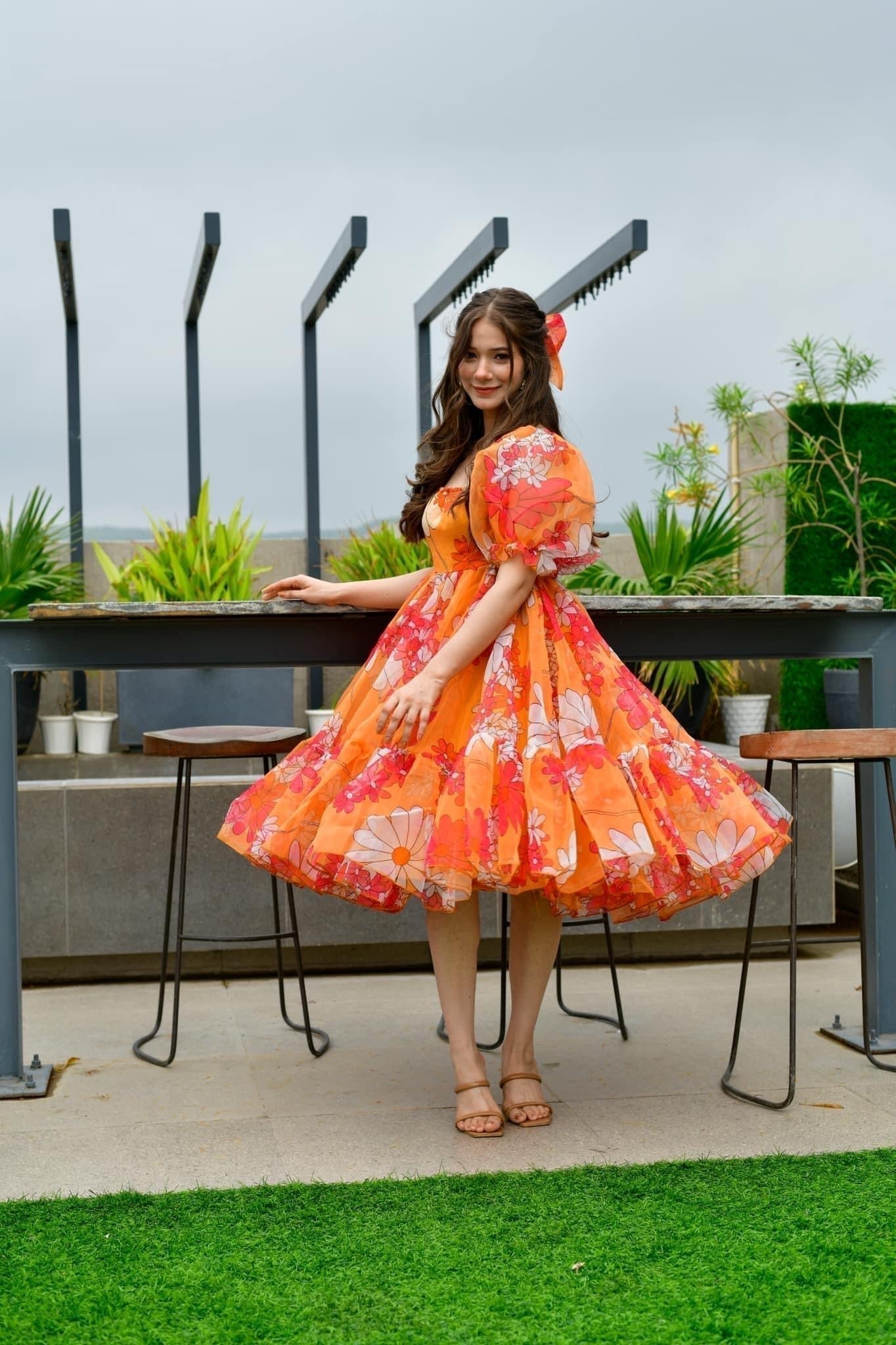 Layla organza printed dress